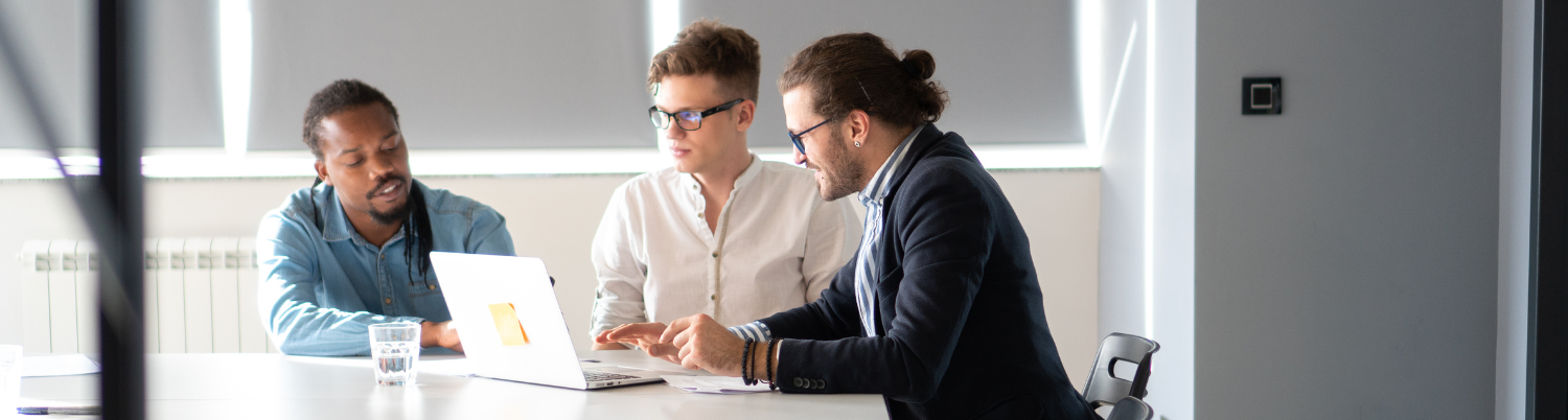 Applicatie Consultancy